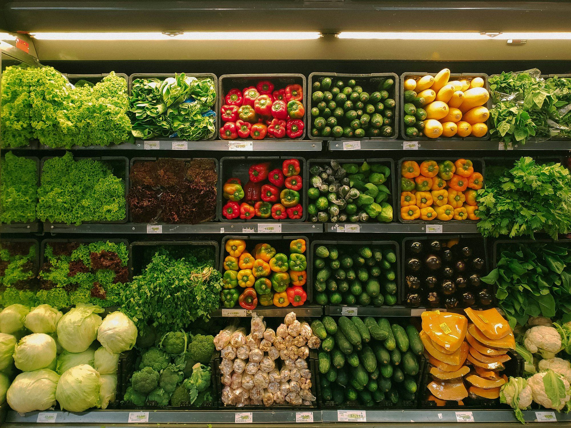 Verdant Grocers workplace